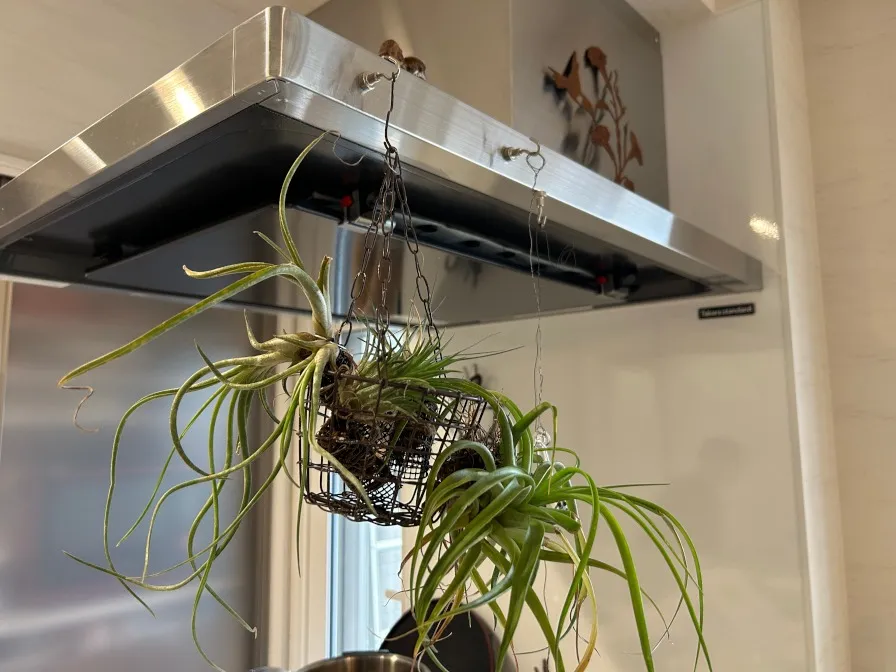 ご家族の個性が形になった唯一無二の住まい